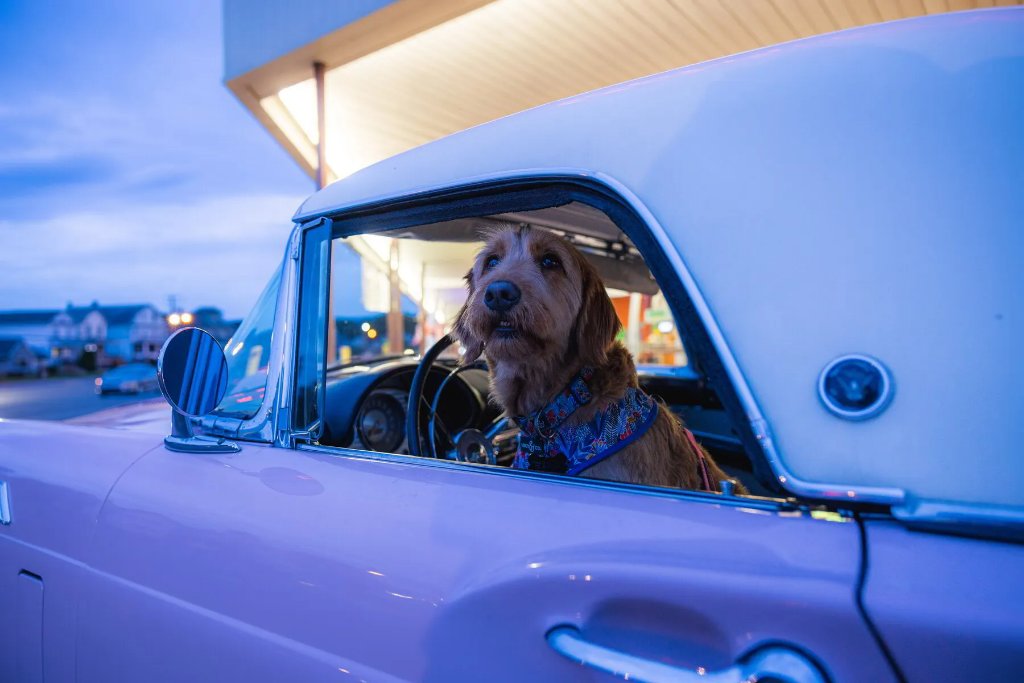 Vintage car at Gateway Shopping Center